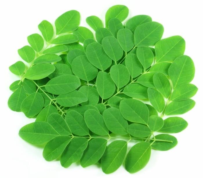 moringa φύλλα ενάντια στα προβλήματα του στομάχου φλεγμονή
