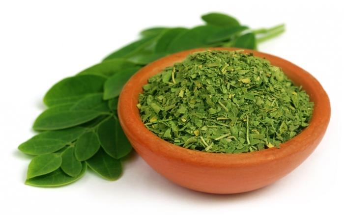 σκόνη moringa υγιή πράσινα φύλλα αποξηραμένα κομμένα