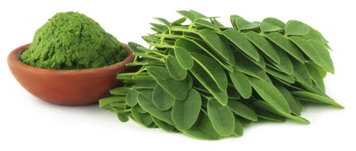 τσάι moringa υγιή πράσινα φύλλα βιταμίνες πρωτεΐνης