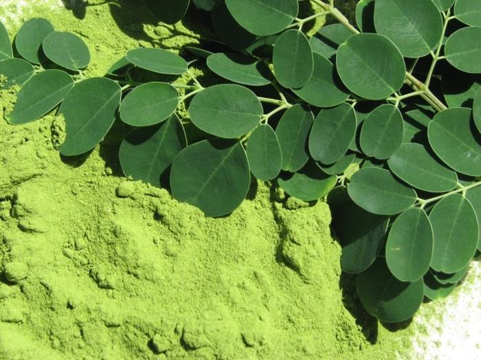 σκόνη moringa υγιείς πρωτεΐνες πλούσιες σε βιταμίνες κάλιο