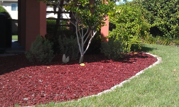 mulching ιδέες κήπου mulcher mulched garden