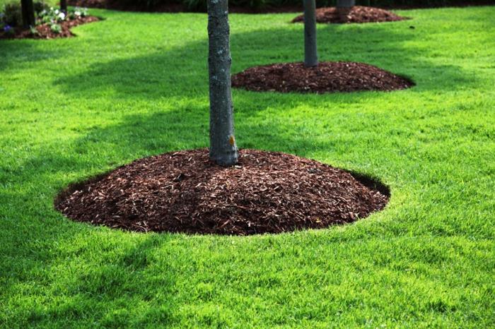 mulching ιδέες mulcher κήπο χούφτα γύρω από το δέντρο