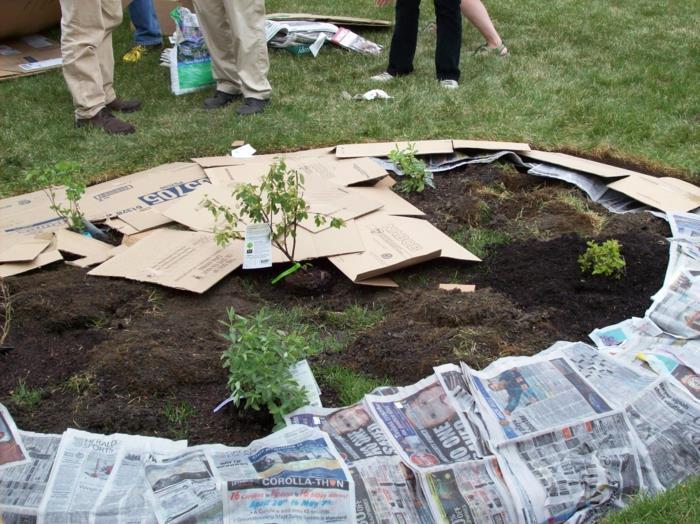 mulching ιδέες κήπου mulcher χούφτα για να στρώσετε το δέντρο