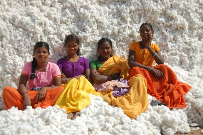 βιώσιμη μόδα οικολογικό ρούχο οργανικό εμπόριο βαμβακιού