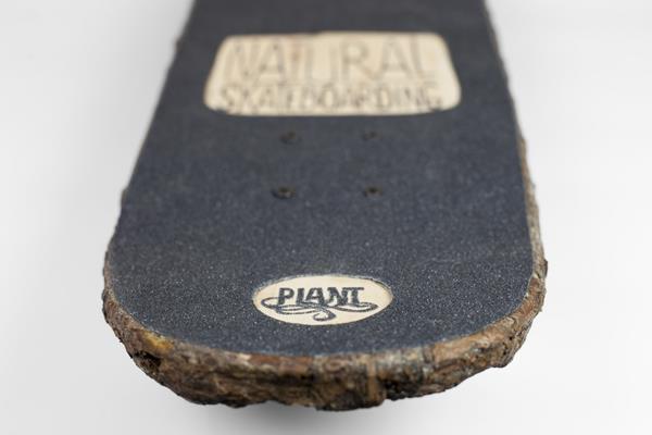 βιώσιμο σχέδιο φυσικό ξύλο φυσικό ξύλο skateboard