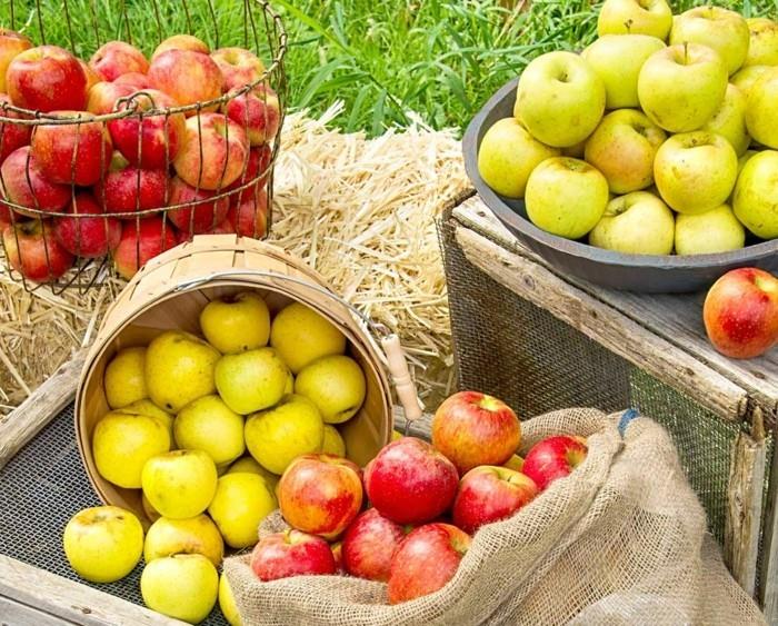 φυσικές θεραπείες καρπούζι υγιείς οικιακές θεραπείες κατά της ημικρανίας συγκομιδή μήλου