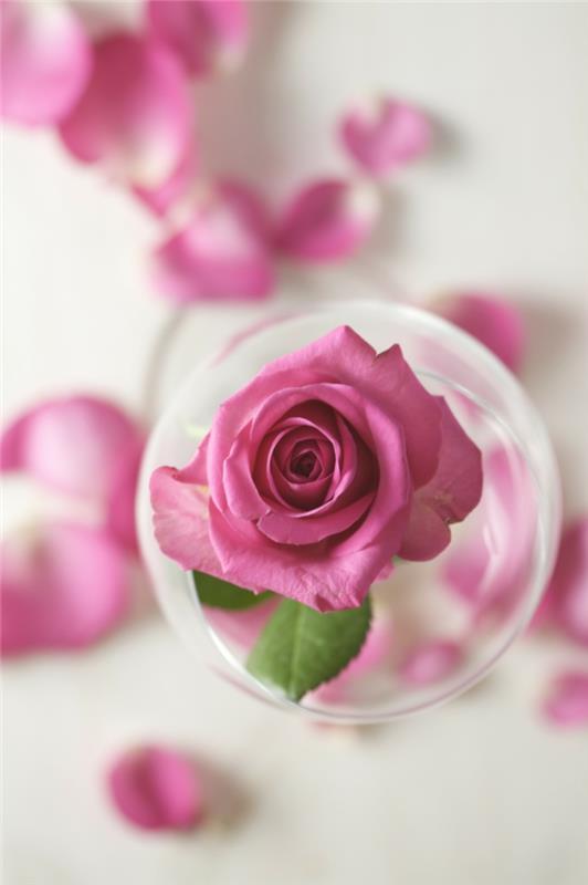 φυσικά καλλυντικά ροδόνερο DM άρωμα τριαντάφυλλο άνθος