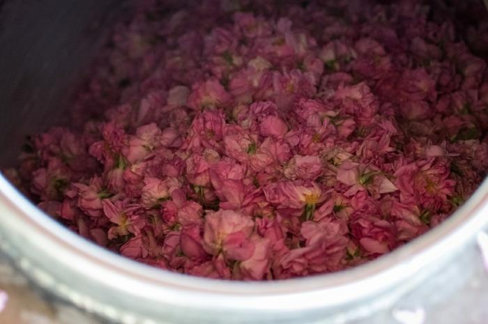 φυσικά καλλυντικά rosenwasser DM ανθίζει τριαντάφυλλο άνθη νερού
