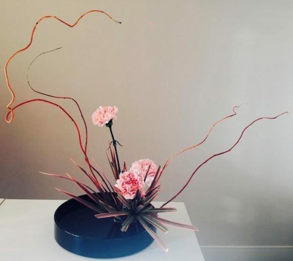 γαρίφαλο ikebana ιαπωνική διάταξη λουλουδιών