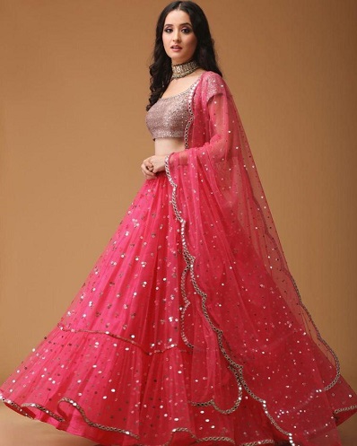 Pembe Net Lehenga Choli