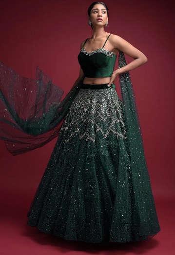 Yeşil Net Lehenga Choli