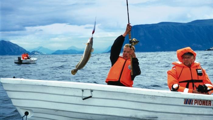 Νορβηγικά φιόρδ ψαρεύουν