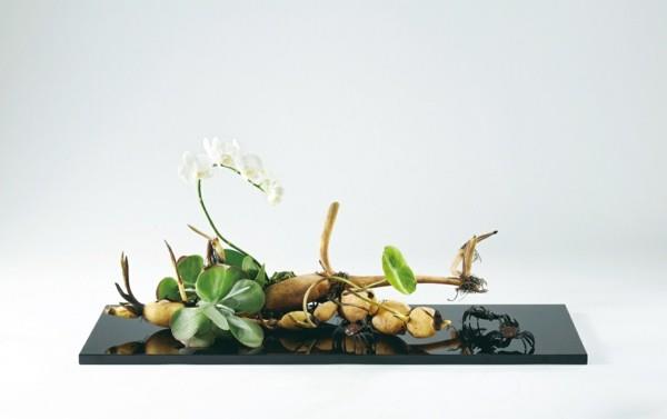 ορχιδέες ikebana ιαπωνική διάταξη λουλουδιών