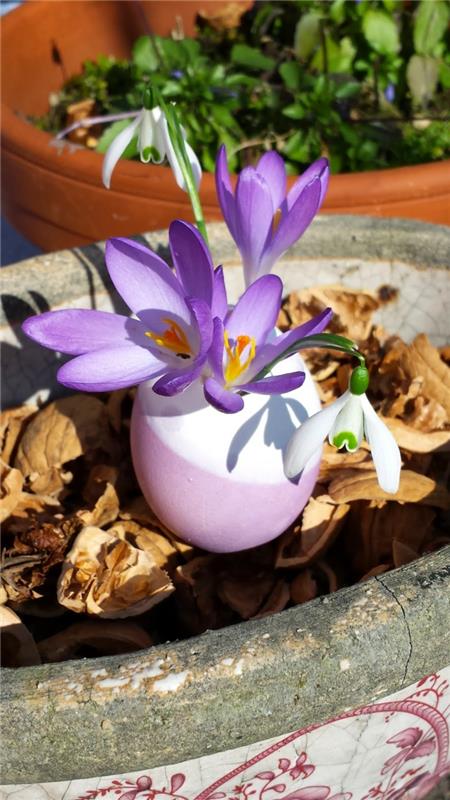 Πασχαλινές διακοσμήσεις κέλυφος αυγών βάζα διακοσμήσεις λουλουδιών άνοιξη διάθεση