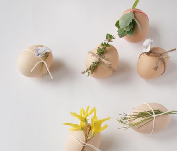 Πασχαλινά αυγά σχεδιασμό φρέσκα λουλούδια βότανα