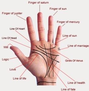 El Astroloji - palmiye Burç