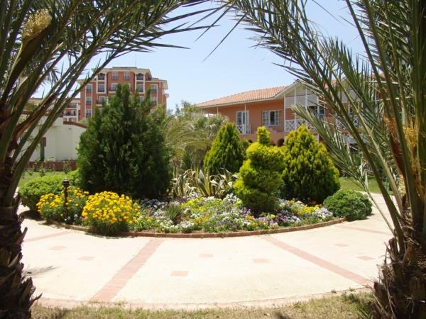 φοίνικας στον κήπο πολύτιμη σκιά
