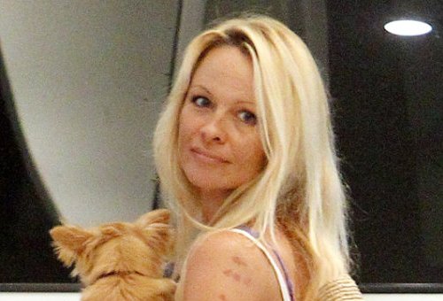 Pamela Anderson be makiažo