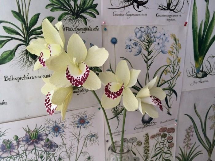 χαρτί λουλούδια tinker orchiedeen χαρτί τέχνης