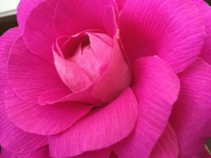 tinker χαρτί λουλούδια ροζ ροζ χαρτί τέχνης