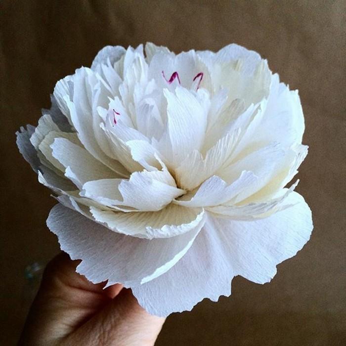 χαρτί λουλούδια tinker λευκή παιώνια τέχνη χαρτιού