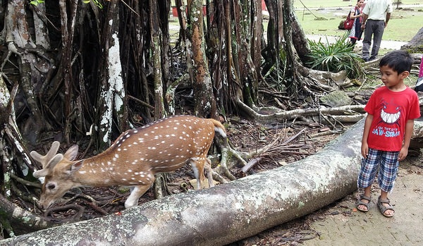 parklar-in-andaman-ve-nicobar_button-ada-milli-parklar