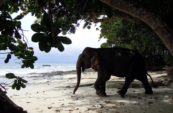 parks-in-andaman-and-nicobar_mount-harriet-island-national-park