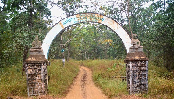 parkai-in-maharashtra-nagzira