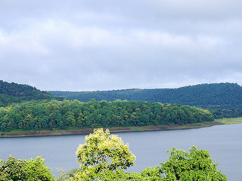 parklar-in-maharashtra-bor-baraj-parkı