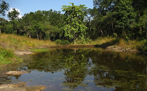 parks-in-meghalaya-siju-bird-sanctuary