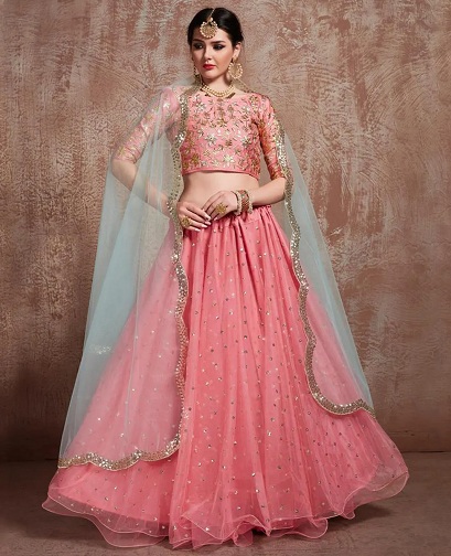 „Party Wear Net Lehenga“