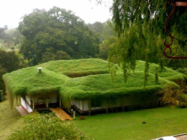 τοπίο πράσινο roof garden υπόστεγο εξωτερικό σχεδιασμό