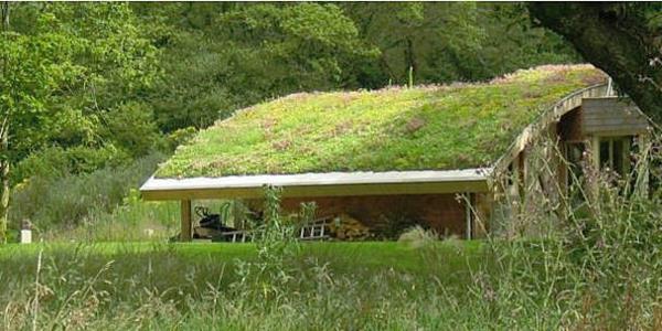 τοπίο πράσινο roof garden ρίξτε εξωτερικές ιδέες
