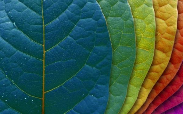τέλεια χρώματα για τα πολύχρωμα εσωτερικά σας φύλλα