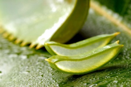 İran Güzeli Bal ve Aloe Vera