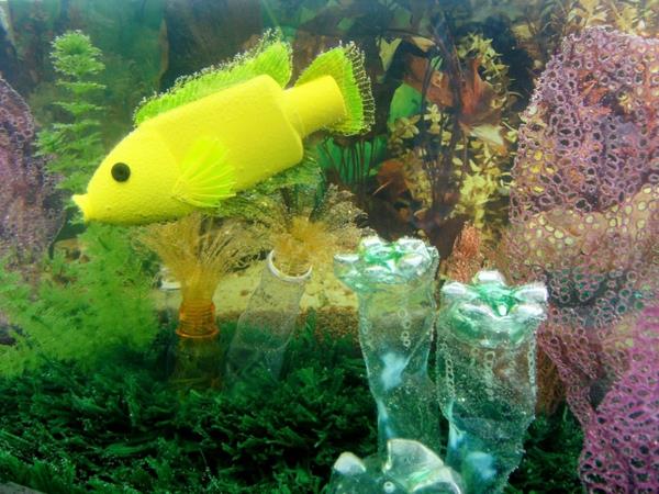 μπουκάλια κατοικίδιων ζώων τέχνη ενυδρείων ψαριών κοραλλιογενείς αλγίες