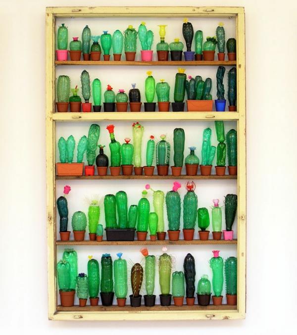 πλαστικά μπουκάλια τέχνη συλλογή κάκτων τέχνης