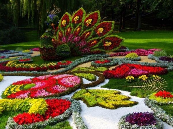 παγώνι στον κήπο ιδέες σχεδιασμού λουλούδια φιγούρες