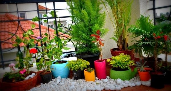 φυτά μπαλκόνι βεράντα πολύχρωμες γλάστρες ποπ