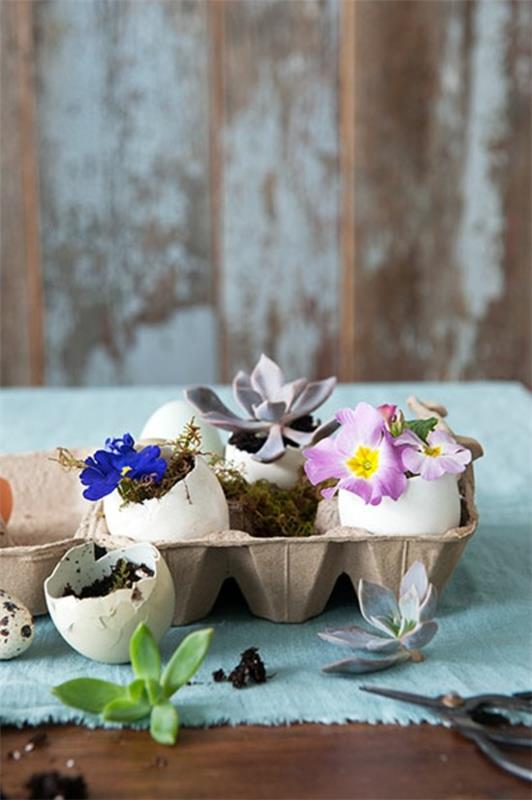 φυτά κελύφη αυγών φτιάξτε μόνοι σας πασχαλινές διακοσμήσεις