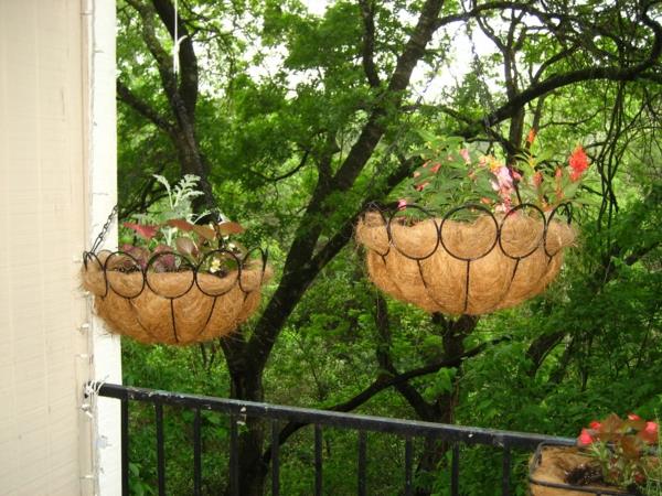 Φυτά για το μπαλκόνι κρέμονται ροζ γλάστρες ενδιαφέρον