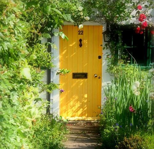 φυτά ανοιξιάτικη φρεσκάδα ξύλινη μπροστινή πόρτα κίτρινη έντονα παλλόμενη