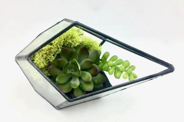 φυτά terrarium γωνιακό μοντέρνο σχήμα