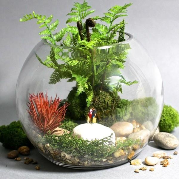 φυτέψτε μπάλα terrarium με μια τρύπα στην κορυφή