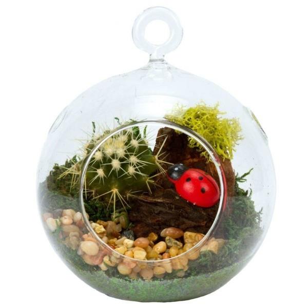 φυτεύει terrarium με δυνατότητα κλεισίματος