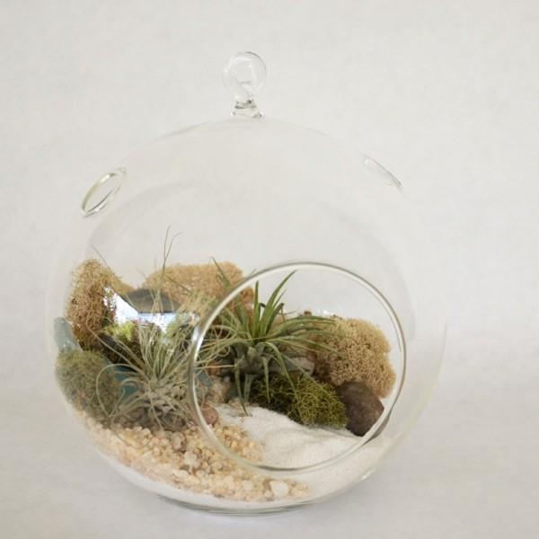 φυτά terrarium οβάλ ιδέα