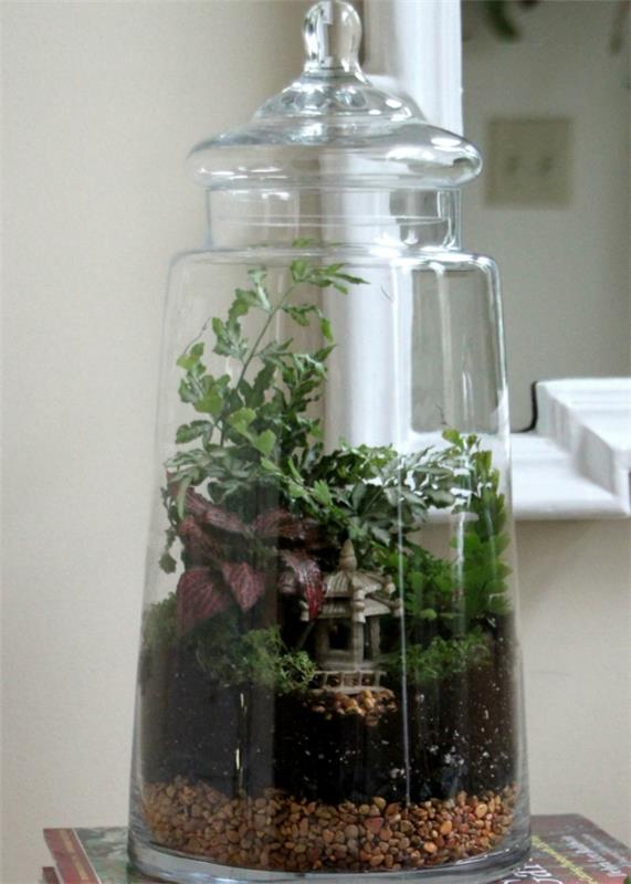 φυτό terrarium κάντε τη δική σας ιδέα