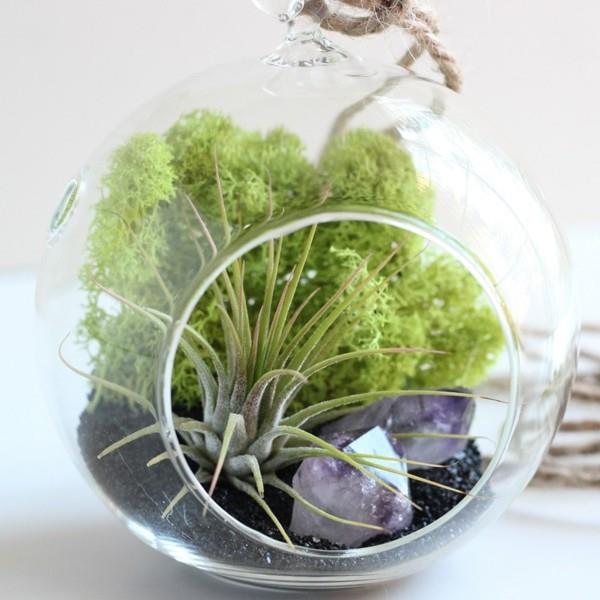 φυτο terrarium υπέροχη ιδέα