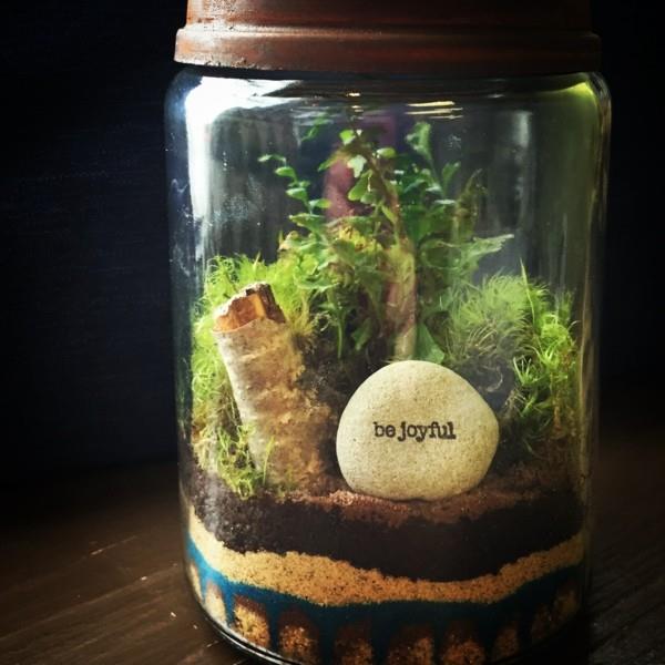 φυτά terrarium μεγάλες πέτρες