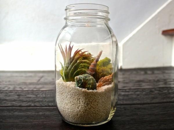 φυτέψτε terrarium υπέροχο γυαλί